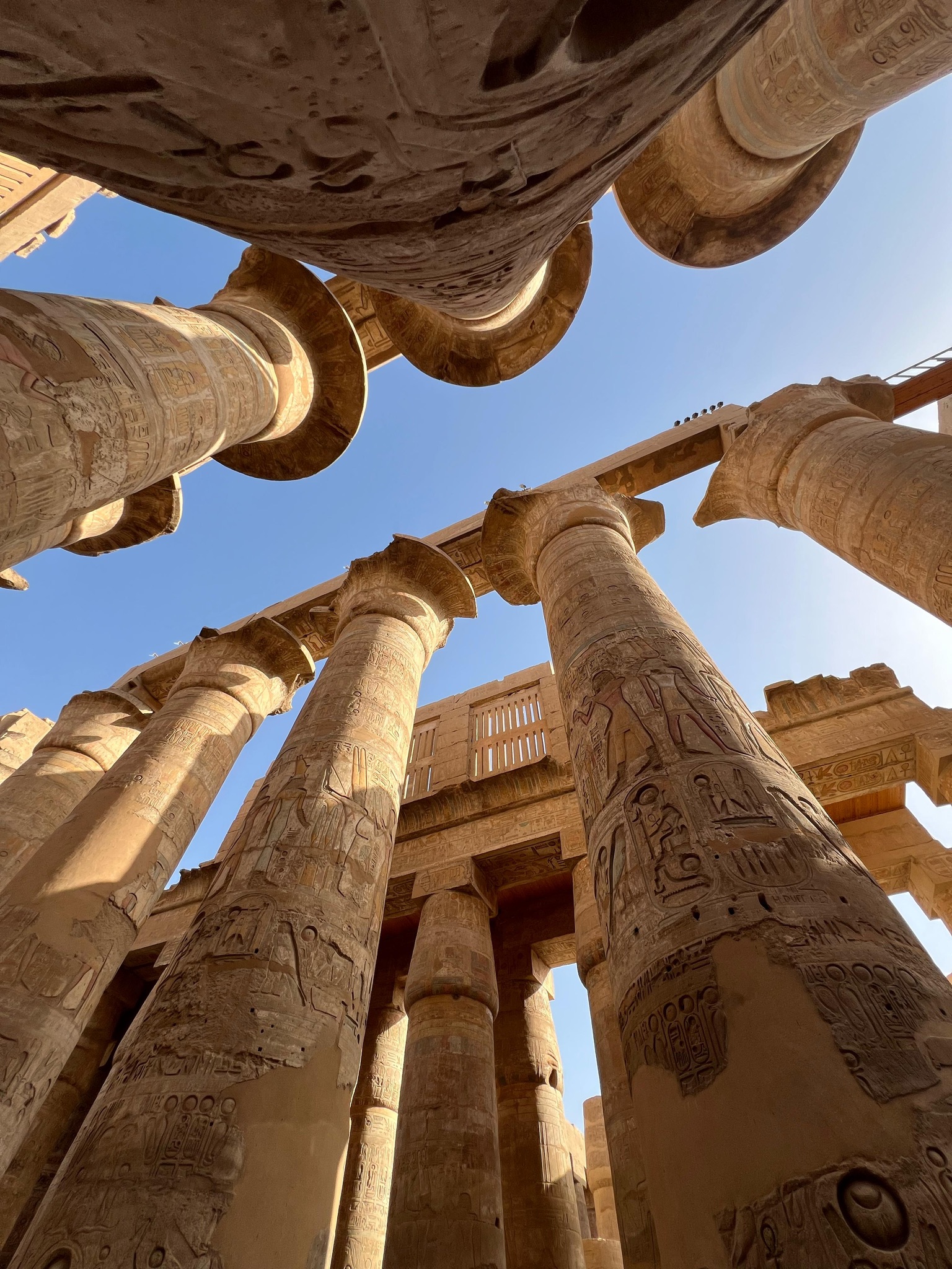 81CB25CA-445A-4318-9FE5-B54D07895602