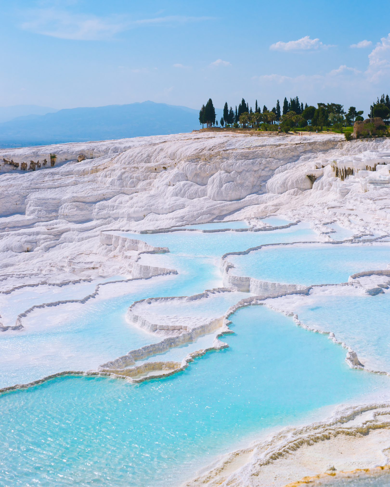 Diseño sin título (10)