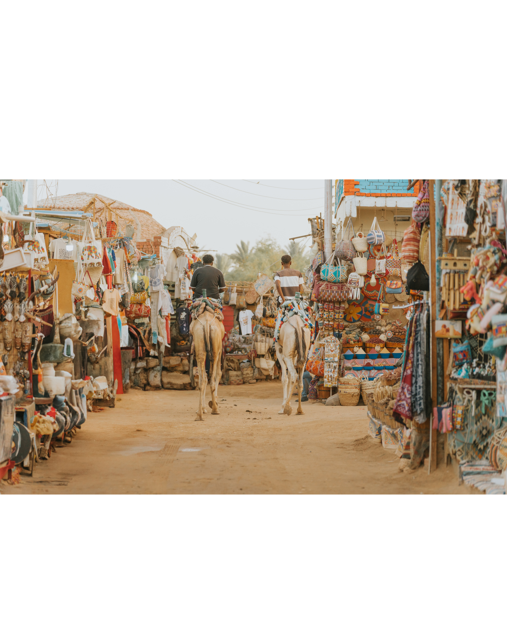 Diseño sin título (6)