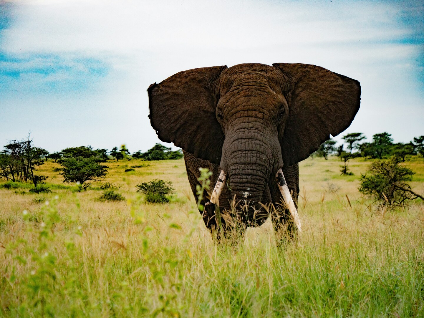 tanzania-marthijn-brinks-jrEtLDaaAaA-unsplash